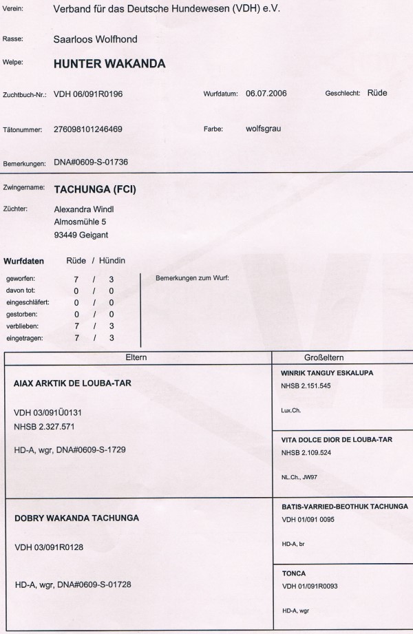 abstammung-wayha-2