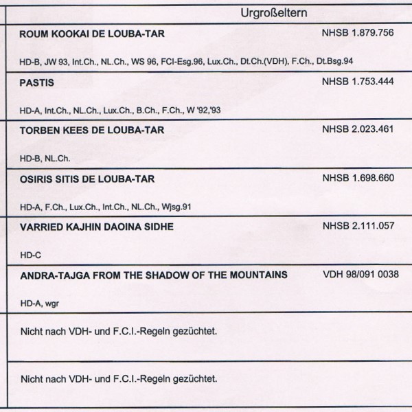 abstammung-wayha-3