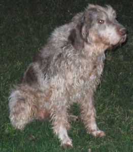 arko-text1 arko-text1