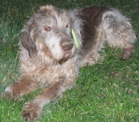 arko-text2 arko-text2