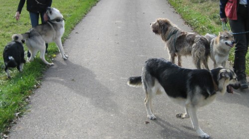 arko-text3 arko-text3