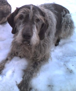 arko-text4 arko-text4