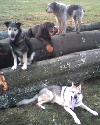 arko-text5 arko-text5