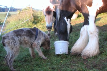 arko-text6 arko-text6